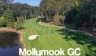 South Coast Swing - Molloymook GC